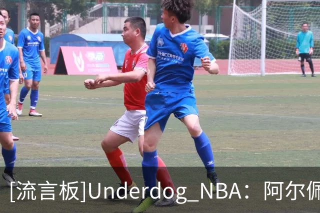 [流言板]Underdog NBA：阿尔佩伦-申京因背部伤势将缺席明日的比赛